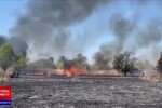 Incendiu de vegetație în Delta Văcărești. Suprafaţa afectată este de aproximativ 15.000 de mp. VIDEO