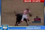 IMAGINI SOCANTE! Inca un om ucis de taur!!!