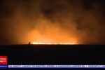 Incendiile de vegetație încep să facă ravagii și în România. Mai multe hectare de teren au ars în apropiere de Capitală