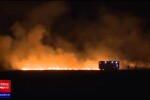Incendiile de vegetație încep să facă ravagii și în România. Mai multe hectare au ars în Corbeanca
