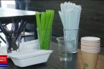 Farfuriile, tacâmurile, paiele și paharele de plastic vor fi interzise în magazinele din România