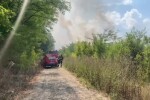 Incendiu de proporții lângă Pădurea Băneasa. Peste 30 de hectare sunt afectate