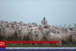 Peisaje de poveste, la Mărginimea Sibiului. ”Este atmosfera asta a satului, liniștea, timpul care curge mai încet”
