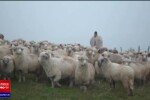 Peisaje de poveste, la Mărginimea Sibiului. ”Este atmosfera asta a satului, liniștea, timpul care curge mai încet”
