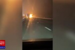 Incendiu violent pe A1. Un autotren încărcat cu opt autoturisme a ars complet | VIDEO & GALERIE FOTO