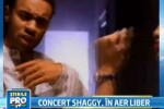 Live stirileprotv.ro: Interviu cu Shaggy!
