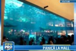 Dubai Mall, evacuat. O fisura in acvariul cu rechini a provocat panica!
