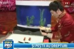 VIDEO cu pesti care inoata sincron, interzis la o televiziune din China