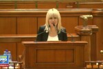 Discursul Elenei Udrea din Parlament, 23.02.2015
