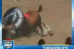 Doliu in Columbia. Un barbat a murit sfartecat de coarnele unui taur!