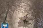 Partida de vanatoare cu ghinion! Un barbat, inghitit de apele Muresului