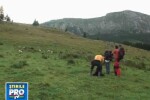 Au gasit numai cenusa si resturi din elicopterul prabusit in Bucegi