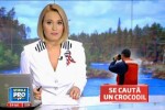 Se cauta un crocodil. Nu pe Nil, ci in raul Lapus, din Baia Mare. Reptila ar fi atacat un copil