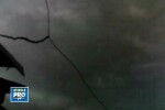 VIDEO: Morti si raniti dupa vijeliile de aseara. In Bucuresti, copacii au cazut peste oameni