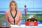 VIDEO. Mergi pe litoral? Tine-te de nas. Tone de alge au intrat in putrefactie din cauza caniculei