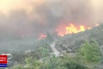 Pe fondul caniculei, un incendiu uriaș de vegetație a izbucnit la nord de Atena