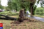Rupere de nori și potop în vestul României. Rafalele au atins și 100 de kilometri pe oră. Codul roșu, valabil până miercuri