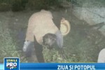 Ziua si potopul. In Transilvania, ploile au facut ravagii