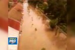 Inundatii in Cernavoda