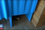 Prinsa ca ar fi vrut sa fraudeze alegerile, o femeie nu a vrut sa mai iasa din cabina de vot