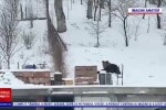 Alertă în orașul Târgu Mureș, după ce un urs a intrat în mai multe gospodării: „Când ieșim ne uităm peste tot”
