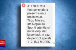 Alertă în orașul Târgu Mureș, după ce un urs a intrat în mai multe gospodării: „Când ieșim ne uităm peste tot”