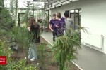 Cum a fost transformată Grădina Botanică Bucov într-o seră inteligentă. Inovația lansată de elevii unei echipe de robotică