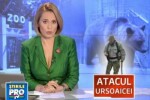 O ursoaica cu pui e vanata dupa ce a sfasiat doi mistreti de la zoo