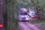 Cum a fost posibilă tragedia din Mureș, în care un copil de 8 ani și-a împuşcat mortal fratele mai mic