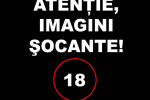 VIDEO SOCANT: Asa ucide un asasin platit al Mafiei italiene!
