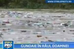 Un rau sufocat de gunoaie! Pana unde se mai poate merge cu nesimtirea?!