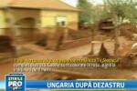 Surse: Unda de poluare din Ungaria a ajuns in apele Dunarii