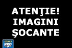 Soferul care a omorat un om pe soseaua Colentina este cetatean francez!