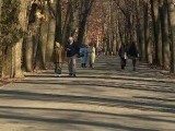 Vremea azi, 16 octombrie. Se mai încălzește - mai ales în ținuturile sudice: în Lunca Dunării temperaturile ajung la 19 grade
