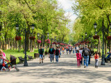Primăria Sectorului 1 vrea să reabiliteze un parc istoric din centrul Bucureștiului. A fost grădina unei familii celebre