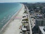 Proprietarul unei pensiuni din Mamaia-Sat, amendat pentru că şi-a lăsat câinii pe holurile unităţii