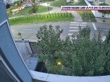 Copii pe biciclete, fugăriți de un șofer care a intrat cu mașina după ei într-un parc, lângă Timișoara
