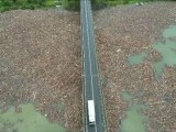 Trei bărci de la Apele Române intervin la Izvorul Muntelui. Autoritățile pregătesc acțiuni urgente de curățare a lacului