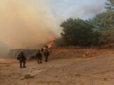 Oamenii din Spania se luptă cu mâinile goale să-și salveze casele din calea flăcărilor. Autoritățile aduc ajutor din Europa