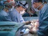 România, singura țară din Europa de Sud-Est cu transplant hepatic de la donator viu. S-au realizat deja 200 de intervenții
