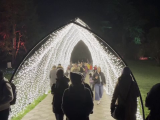 Locul unde sărbătorile par desprinse dintr-un film SF. O grădina botanică uimește vizitatorii cu decorul de Crăciun