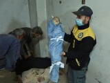 siria siria