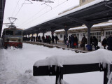 tren zapada tren zapada