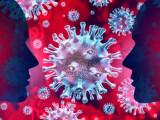 Coronavirus România, bilanț 5 septembrie. 1.242 de cazuri noi de persoane infectate cu SARS–CoV–2