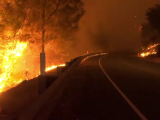 Incendiu major în California. Peste 4.000 de persoane au fost evacuate. „A fost înfricoșător”