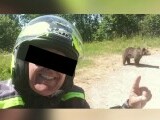Detaliul cutremurător descoperit &icirc;n telefonul turistului ucis de o ursoaică pe Transfăgărășan. Greșeala care i-a fost fatală