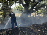 Două persoane au murit şi alte sute au fost evacuate în urma unui incendiu masiv de vegetaţie în Cipru