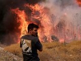 Incendiile de vegetație continuă să facă ravagii în Balcani. Focul se îndreaptă către marile orașe