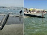 Garda de Mediu a dat amenzi de un milion de lei pe litoral. Sănătatea turiștilor, pusă în pericol de o conductă