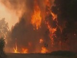 Incendiu devastator în Portugalia. Patru mii de pompieri luptă cu focul. Fenomene extreme și în Italia
